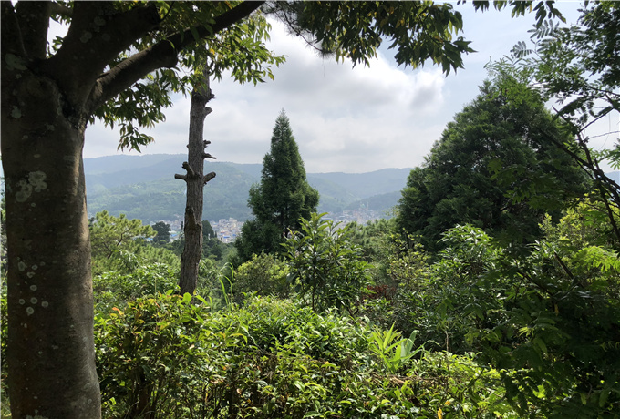 青島會(huì)議會(huì)展大巴包車—青島會(huì)議旅游